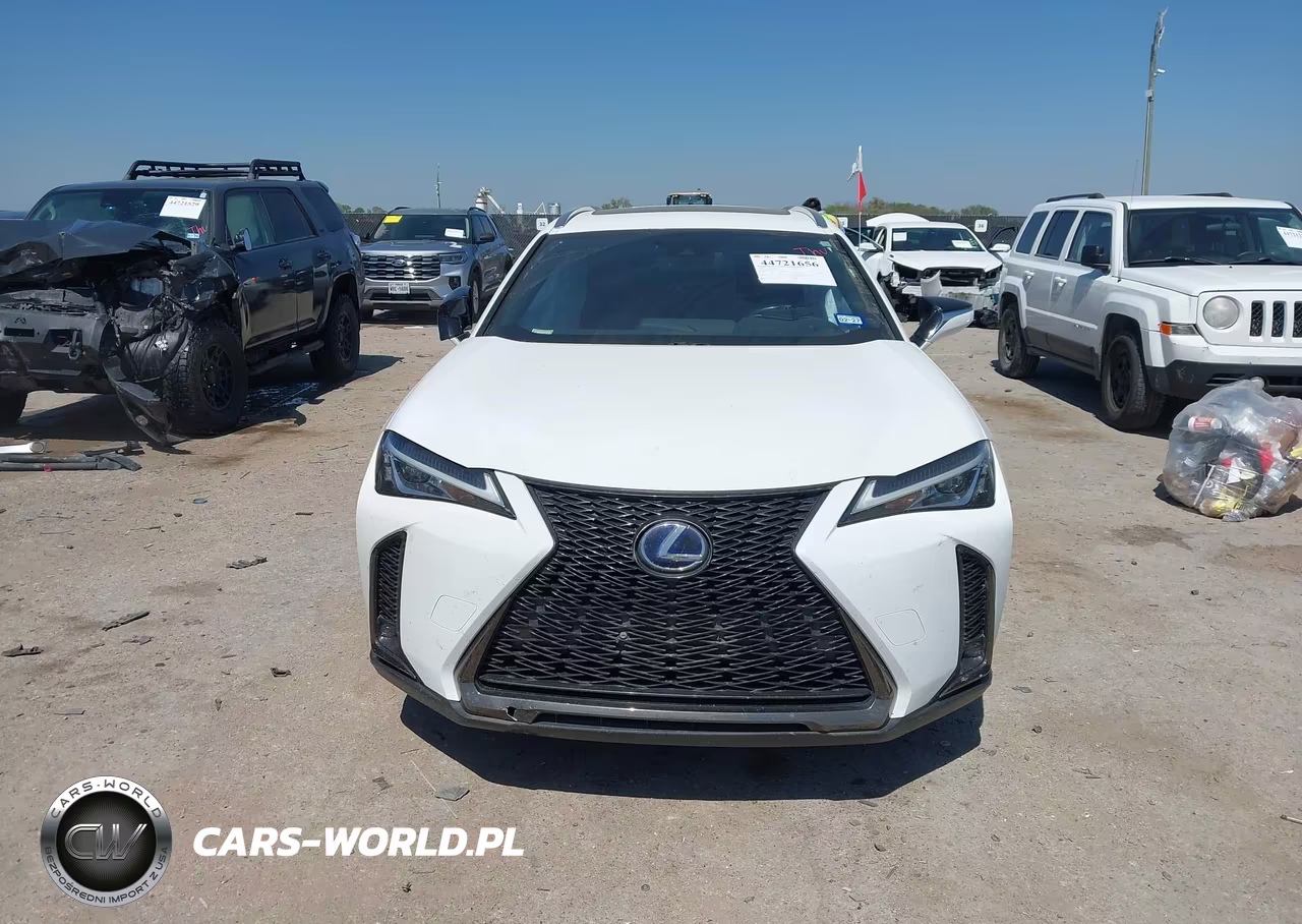2019 Lexus Ux 250H F Sport VIN:JTHU9JBH6K2014846 - 12