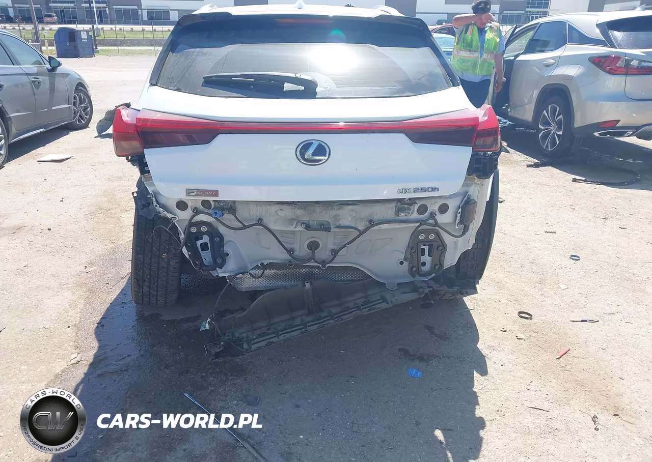 2019 Lexus Ux 250H F Sport VIN:JTHU9JBH6K2014846 - 6
