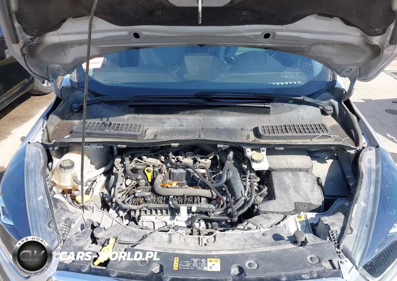 2019 Ford Escape Se VIN:1FMCU9GD9KUB78270 - 10