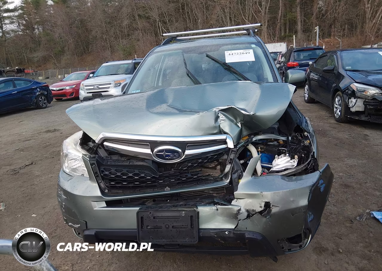 2015 Subaru Forester 2.5I Premium VIN:JF2SJADC3FH806507 - 11