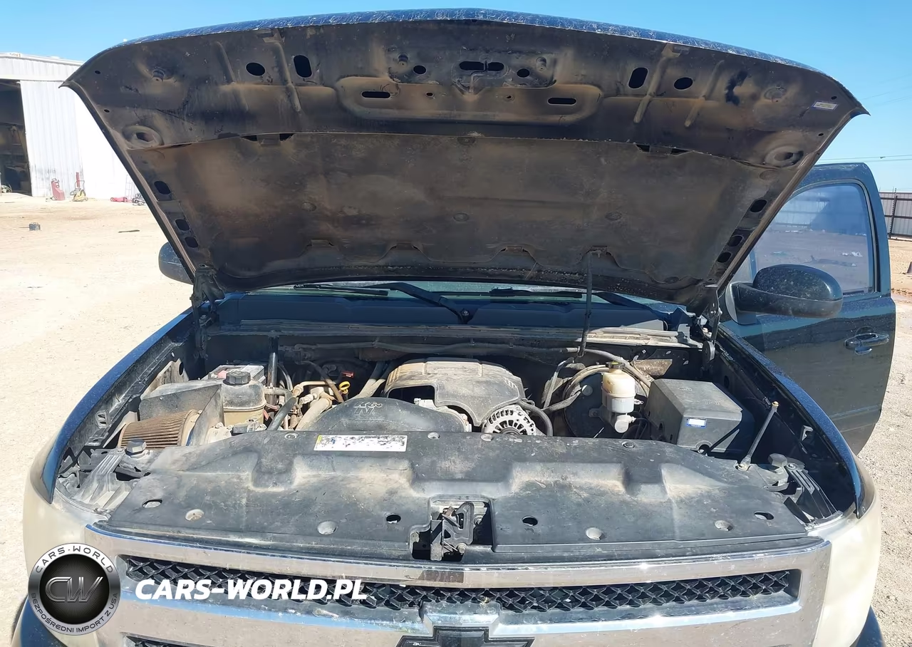 2009 Chevrolet Silverado 1500 Ltz VIN:3GCEC33J69G161237 - 10