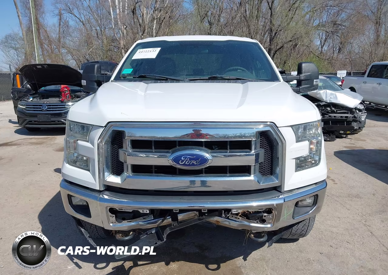 2016 Ford F-150 Xlt VIN:1FTEX1EP5GKD60716 - 12
