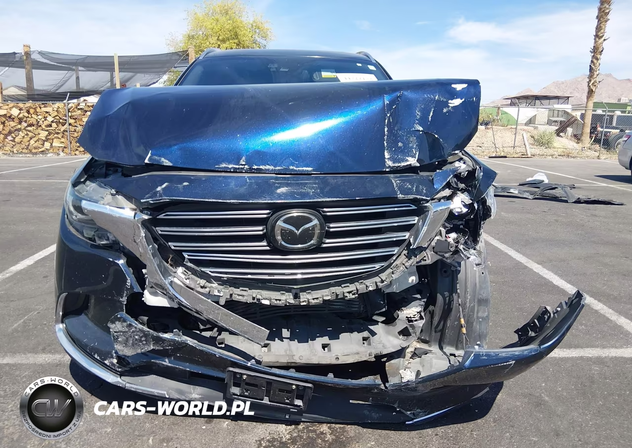 2017 Mazda Cx-9 Grand Touring VIN:JM3TCBDYXH0132167 - 13