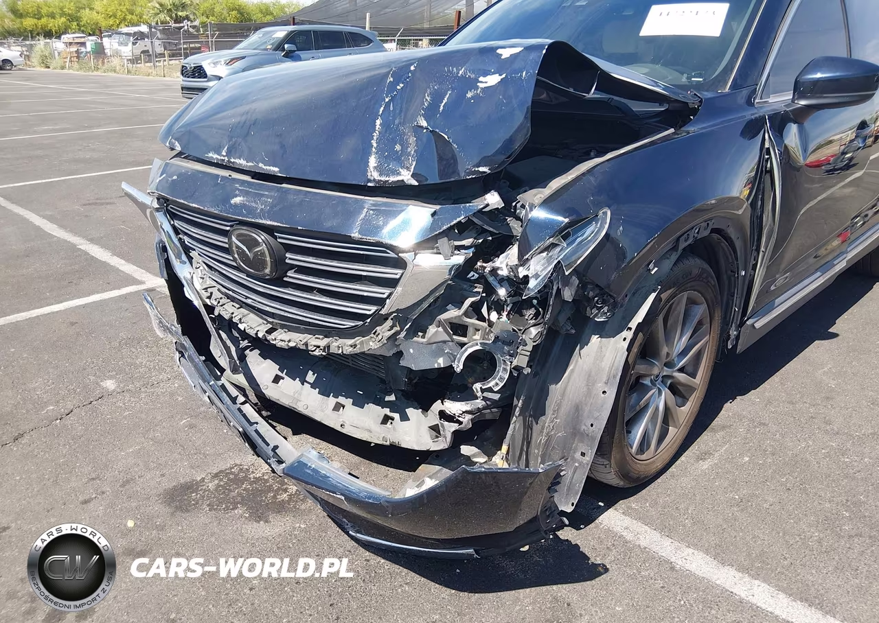 2017 Mazda Cx-9 Grand Touring VIN:JM3TCBDYXH0132167 - 6