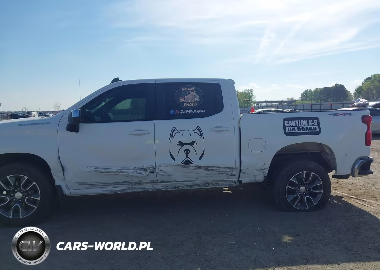 2023 Chevrolet Silverado 1500 4Wd Standard Bed Lt VIN:2GCUDDED1P1118498 - 14