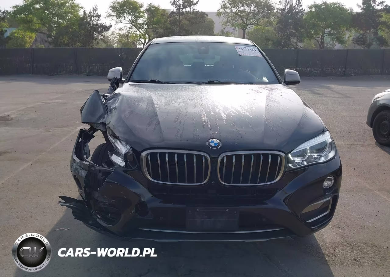 2019 BMW X6 xDrive35I VIN:5UXKU2C55K0Z63185 - 12