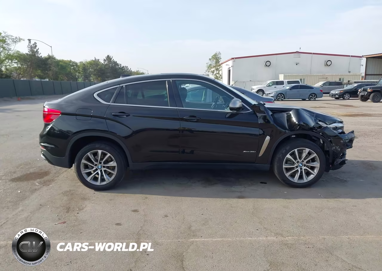 2019 BMW X6 xDrive35I VIN:5UXKU2C55K0Z63185 - 13