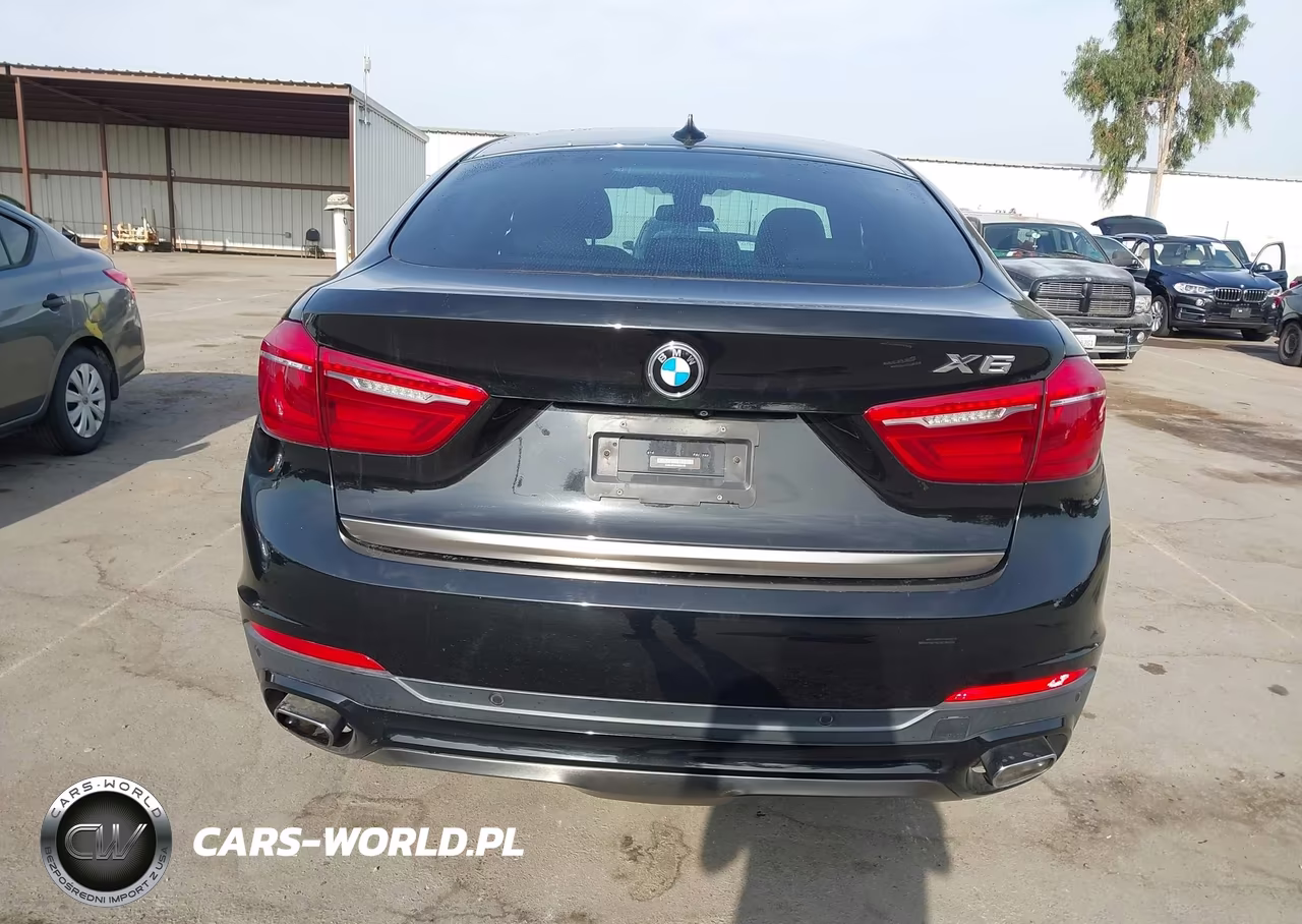 2019 BMW X6 xDrive35I VIN:5UXKU2C55K0Z63185 - 16