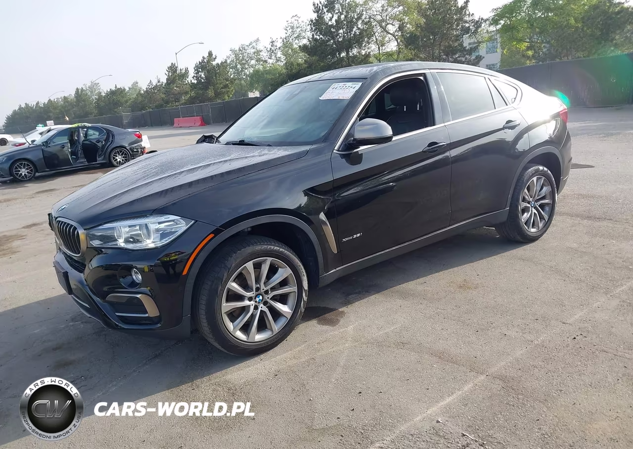 2019 BMW X6 xDrive35I VIN:5UXKU2C55K0Z63185 - 2