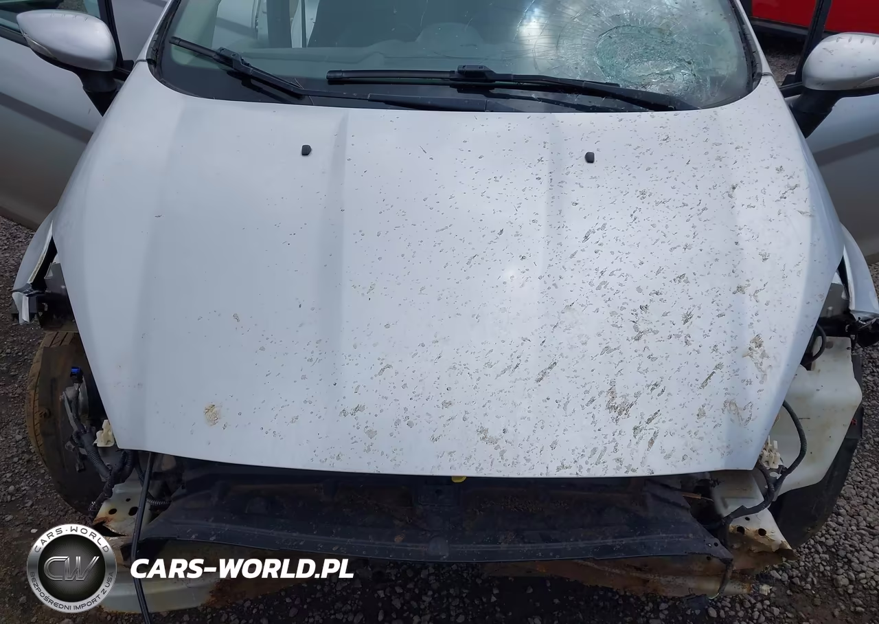 2014 Ford Fiesta Se VIN:3FADP4EJ3EM163581 - 10