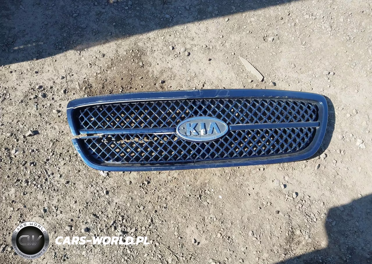 2004 Kia Sedona Ex-Lx VIN:KNDUP131346508800 - 12