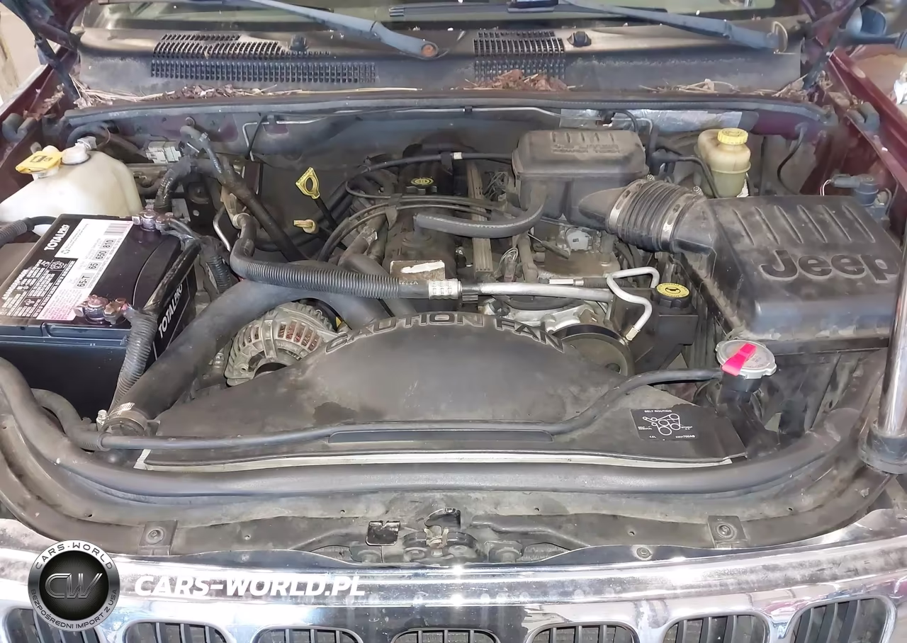 2003 Jeep Grand Cherokee Laredo VIN:1J4GW48S43C542760 - 10