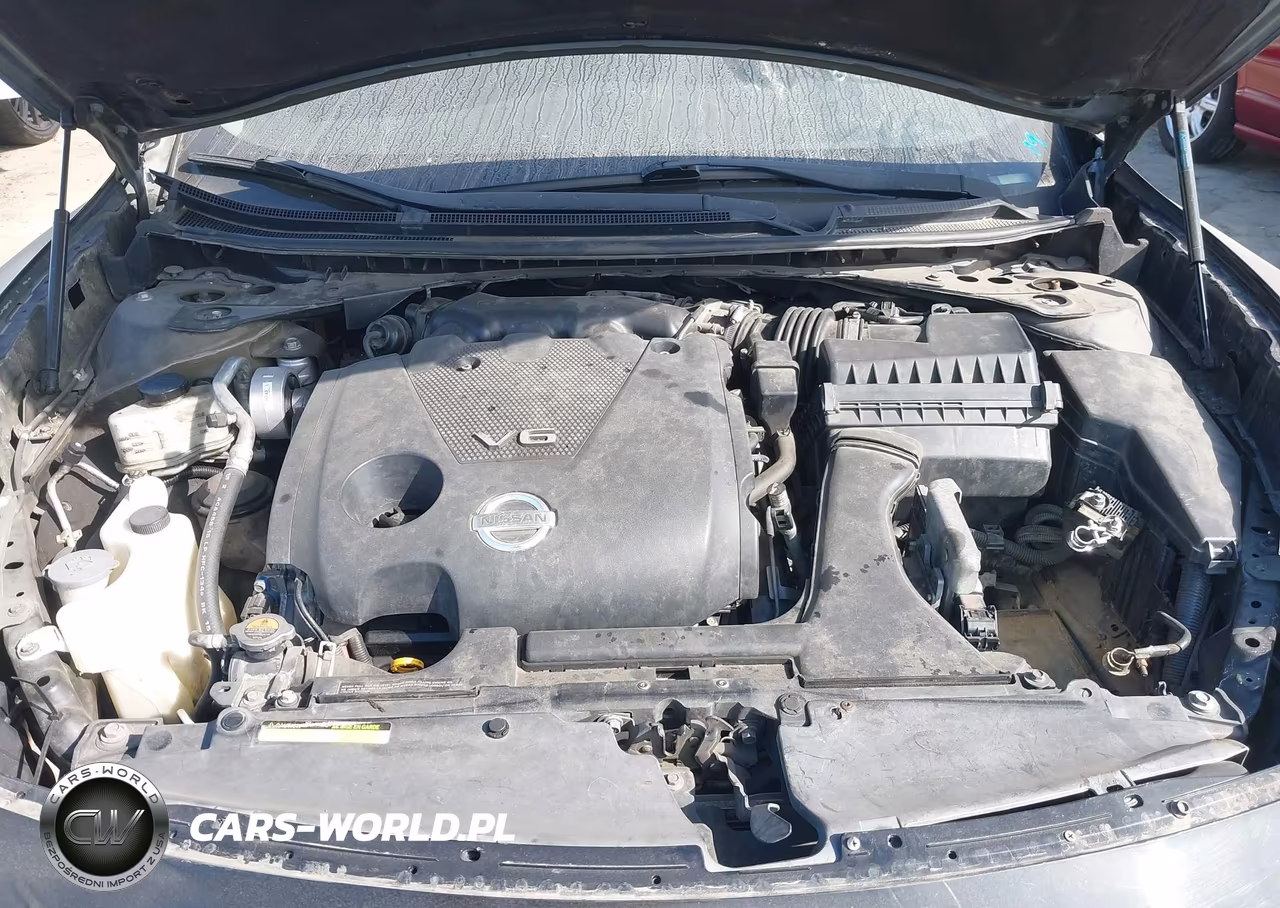 2013 Nissan Maxima 3.5 S VIN:1N4AA5AP5DC823818 - 10