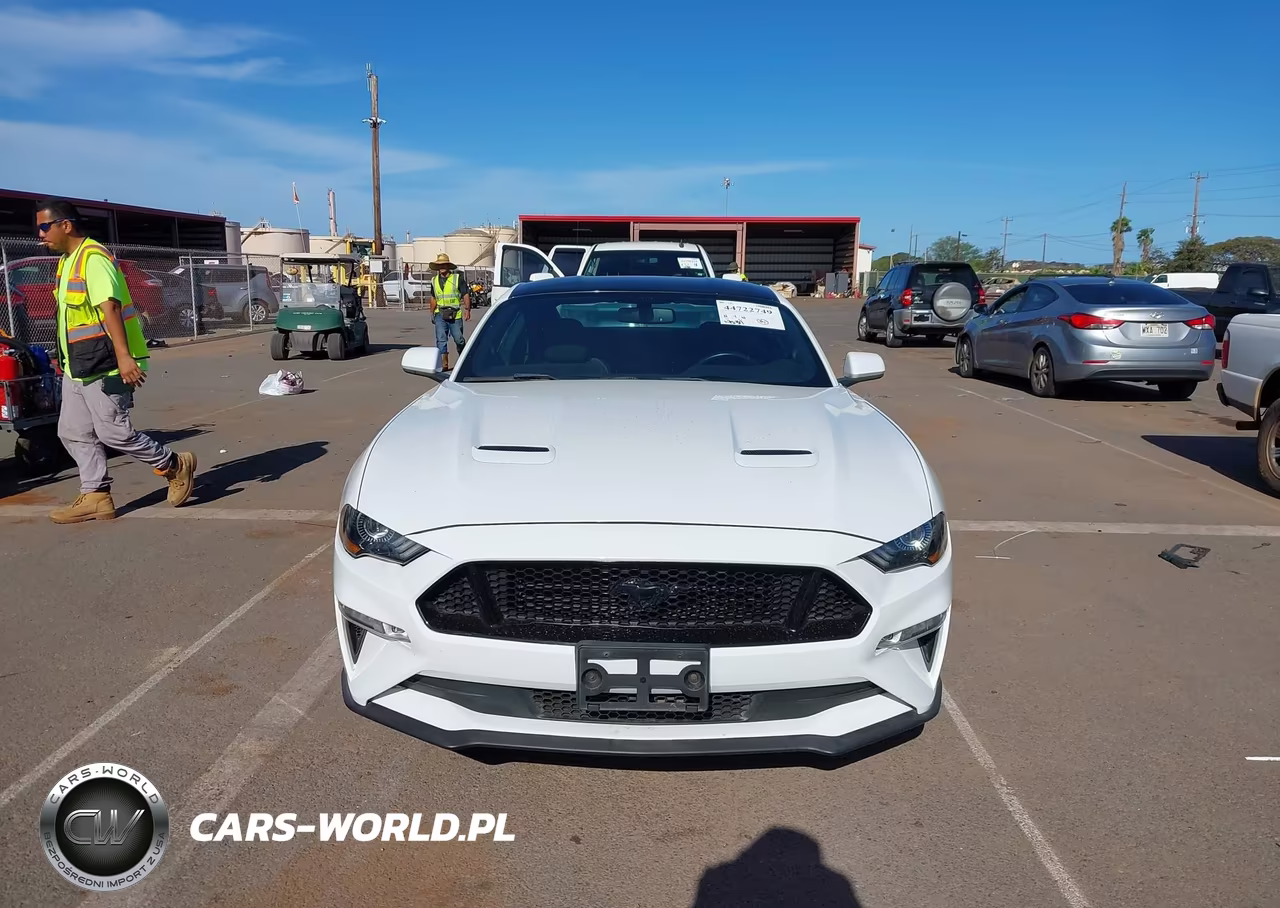 2019 Ford Mustang Gt VIN:1FA6P8CF3K5161359 - 12
