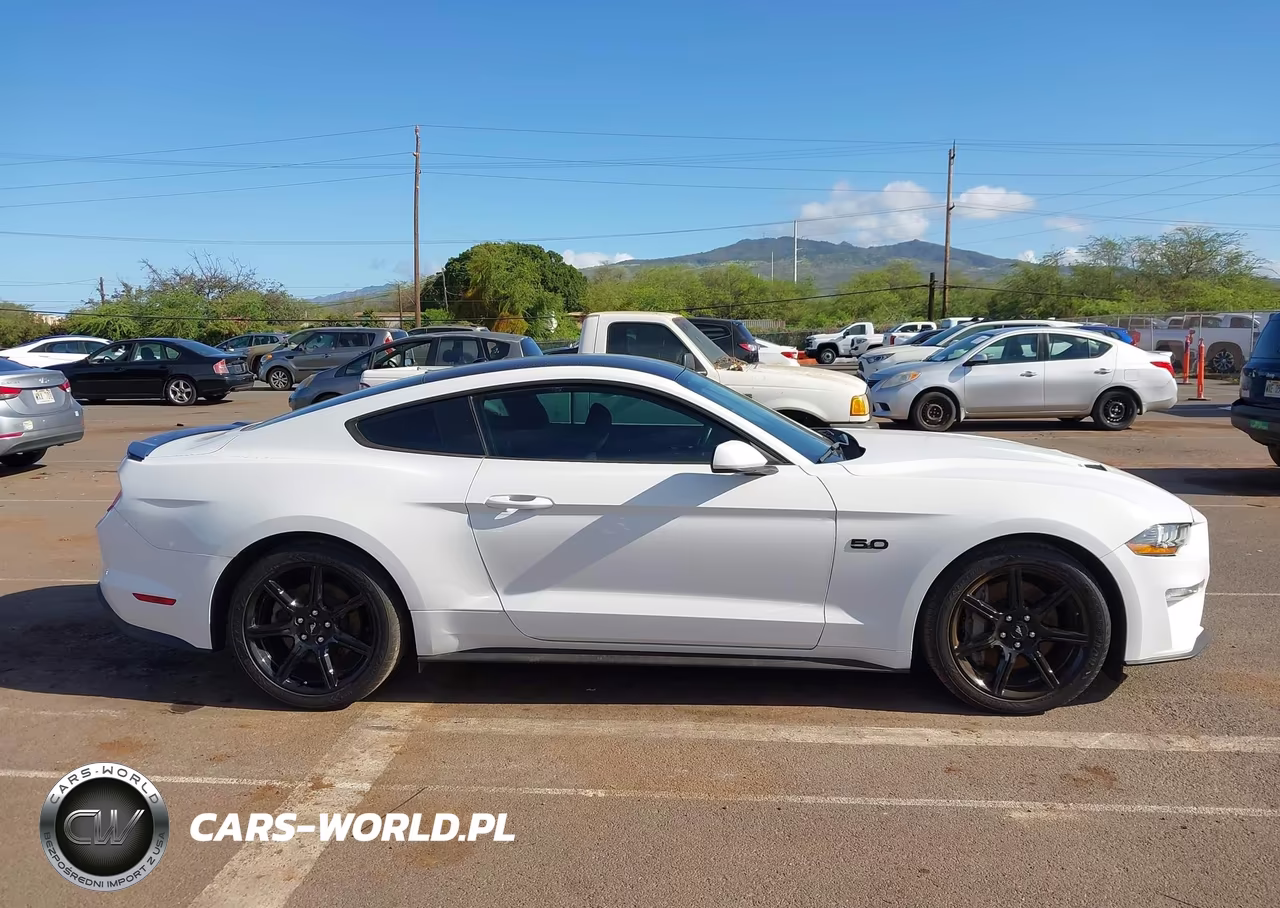 2019 Ford Mustang Gt VIN:1FA6P8CF3K5161359 - 13