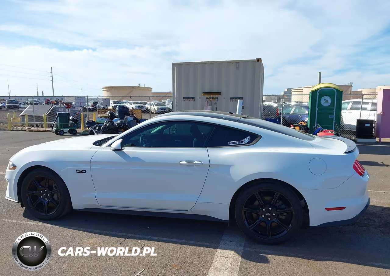 2019 Ford Mustang Gt VIN:1FA6P8CF3K5161359 - 14