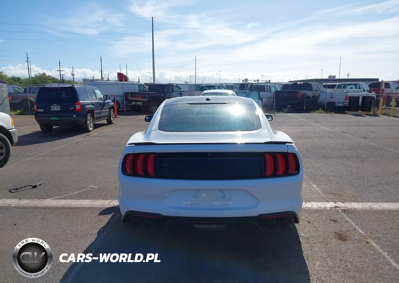 2019 Ford Mustang Gt VIN:1FA6P8CF3K5161359 - 16