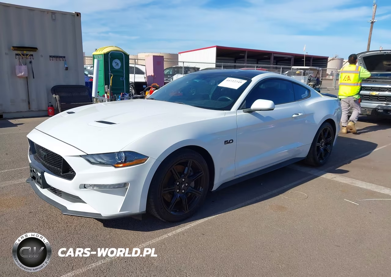 2019 Ford Mustang Gt VIN:1FA6P8CF3K5161359 - 2