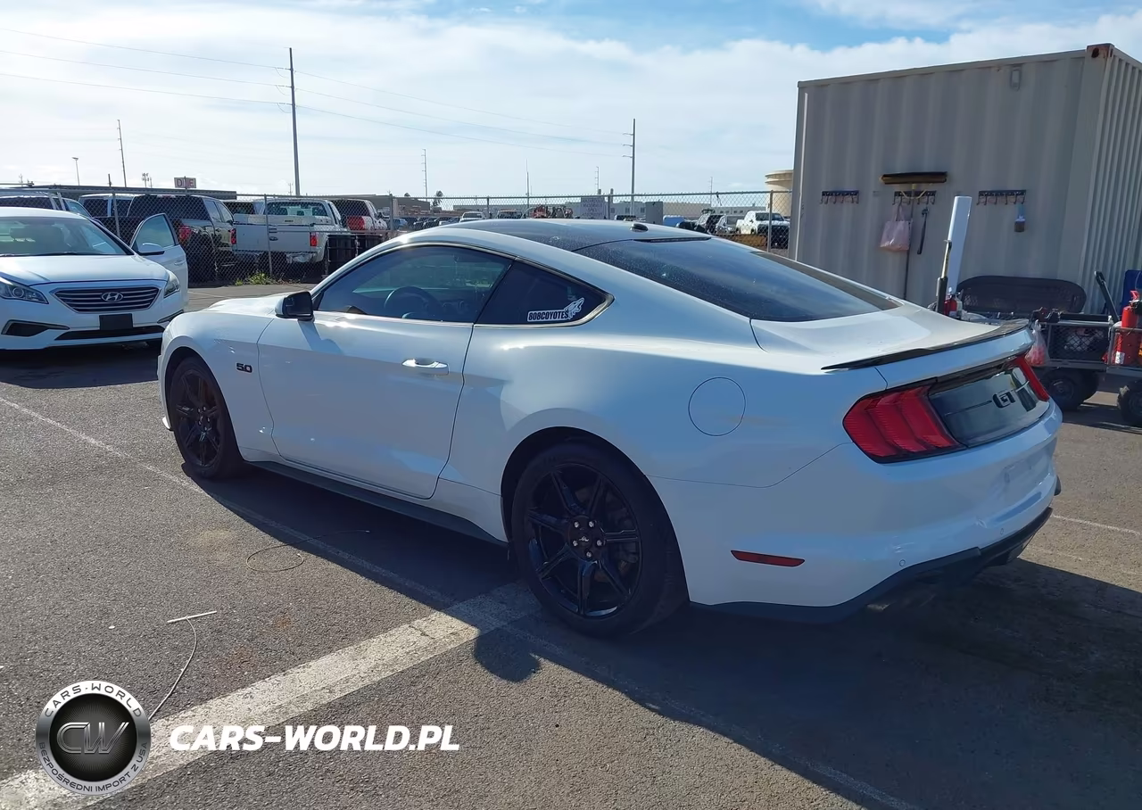 2019 Ford Mustang Gt VIN:1FA6P8CF3K5161359 - 3