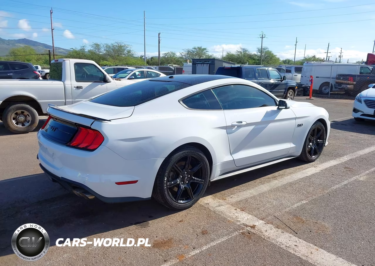 2019 Ford Mustang Gt VIN:1FA6P8CF3K5161359 - 4