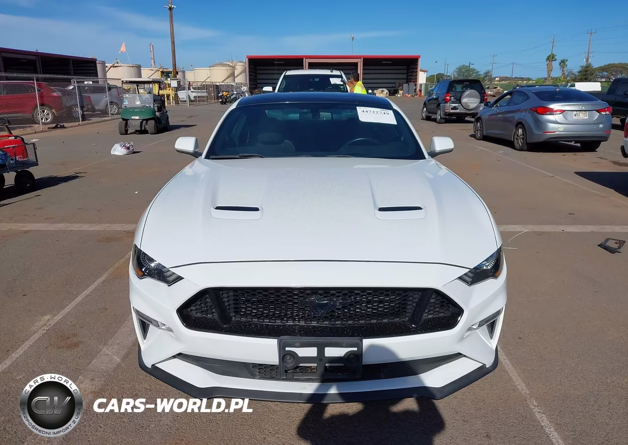 2019 Ford Mustang Gt VIN:1FA6P8CF3K5161359 - 6
