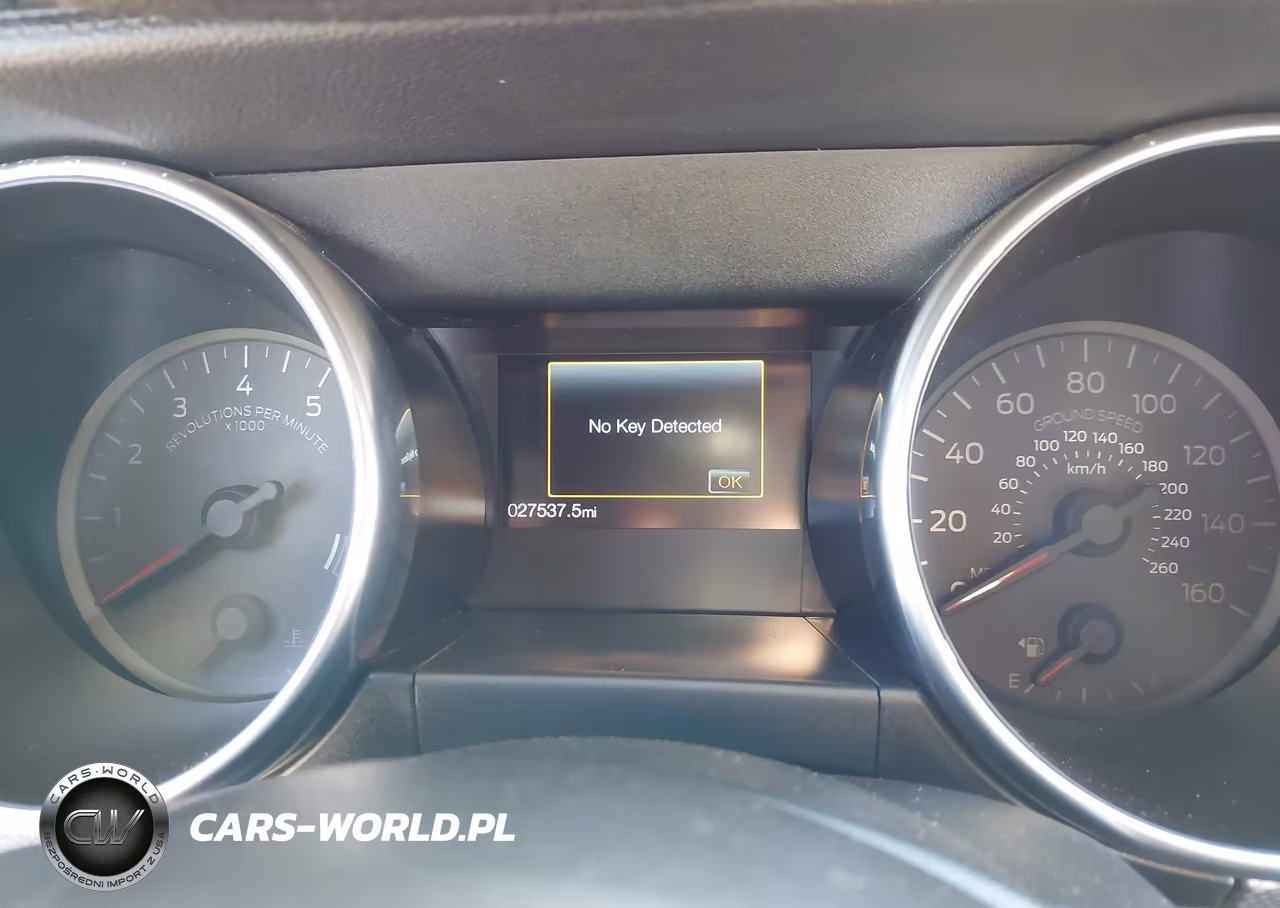 2019 Ford Mustang Gt VIN:1FA6P8CF3K5161359 - 7