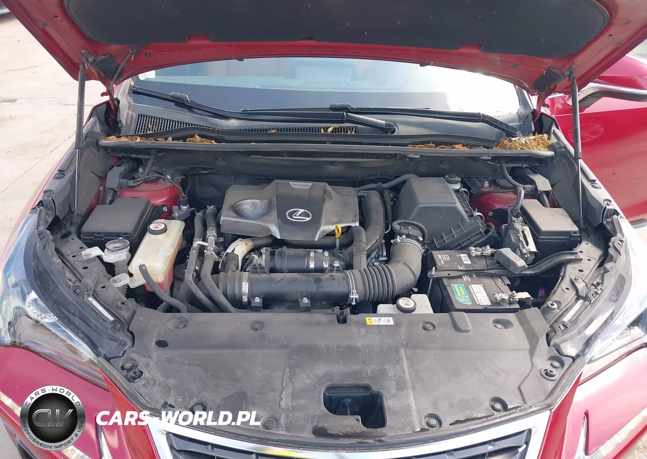 2020 Lexus Nx 300 VIN:JTJAARBZ6L5017763 - 10