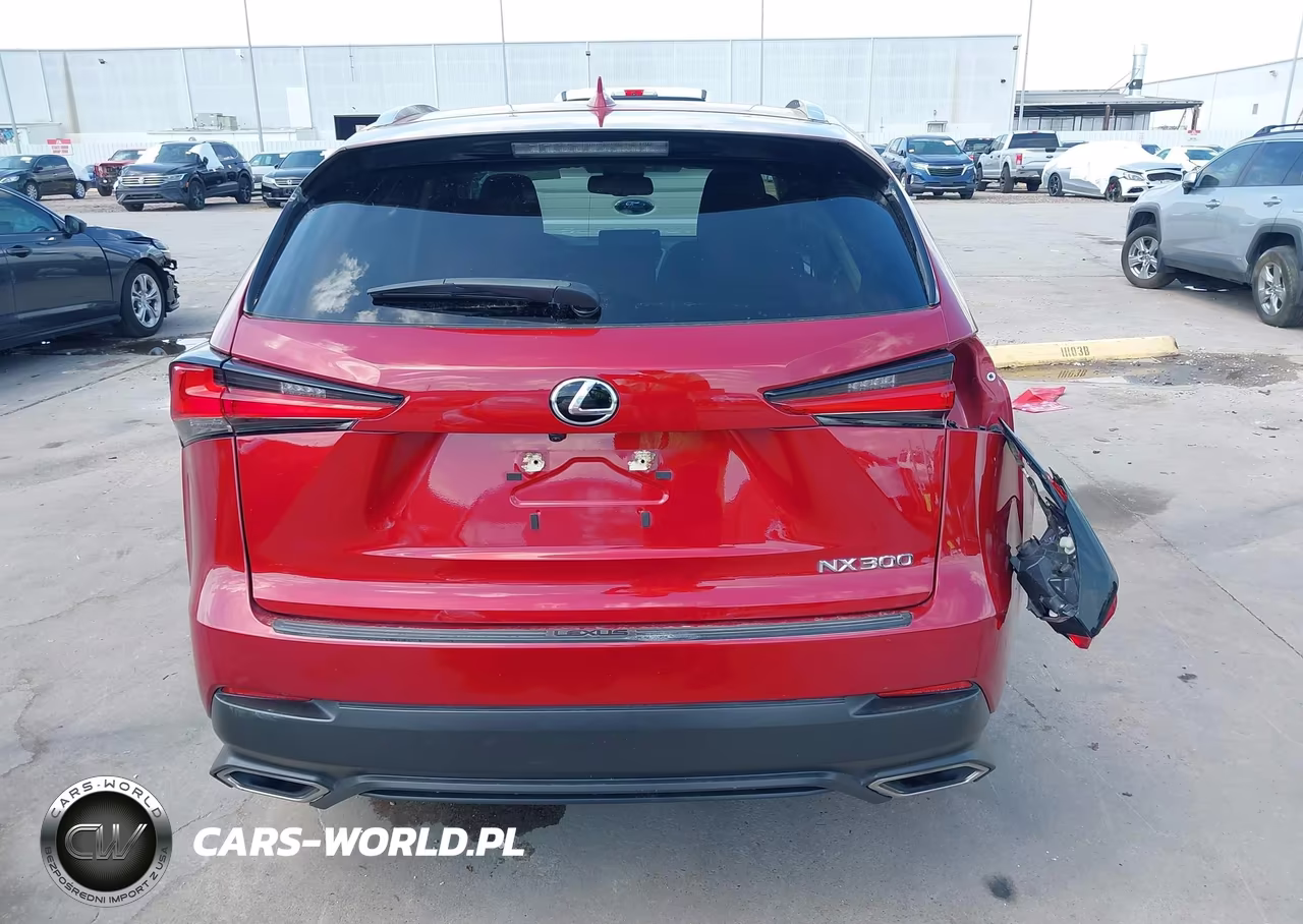 2020 Lexus Nx 300 VIN:JTJAARBZ6L5017763 - 16