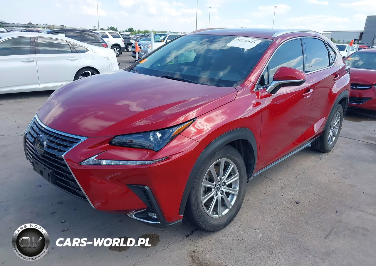 2020 Lexus Nx 300 VIN:JTJAARBZ6L5017763 - 2