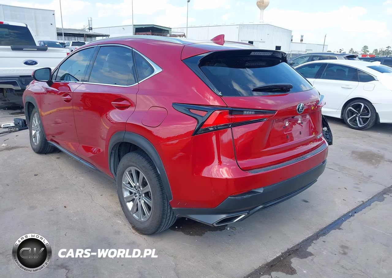 2020 Lexus Nx 300 VIN:JTJAARBZ6L5017763 - 3
