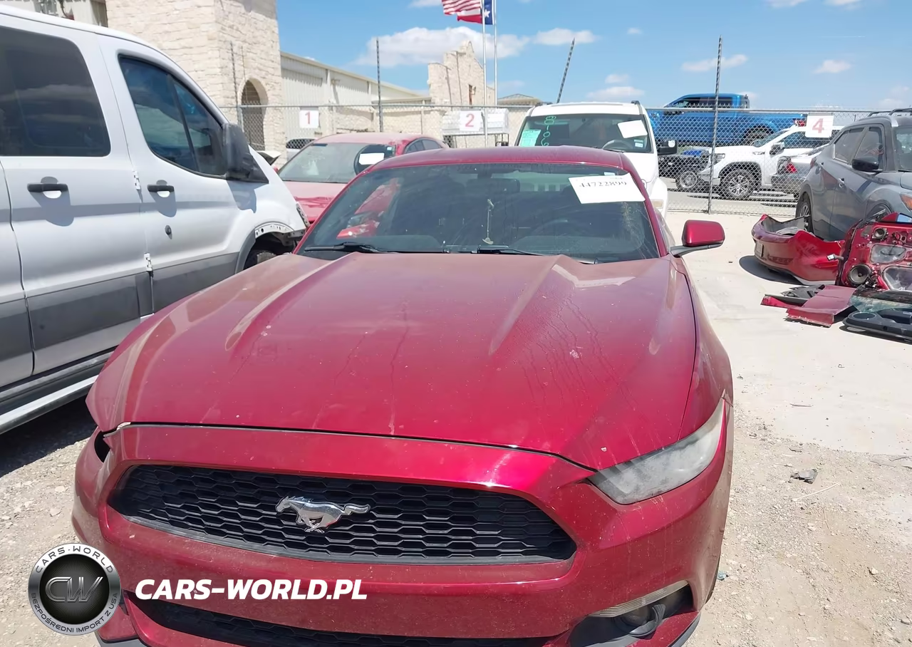 2016 Ford Mustang Ecoboost VIN:1FA6P8THXG5223932 - 13