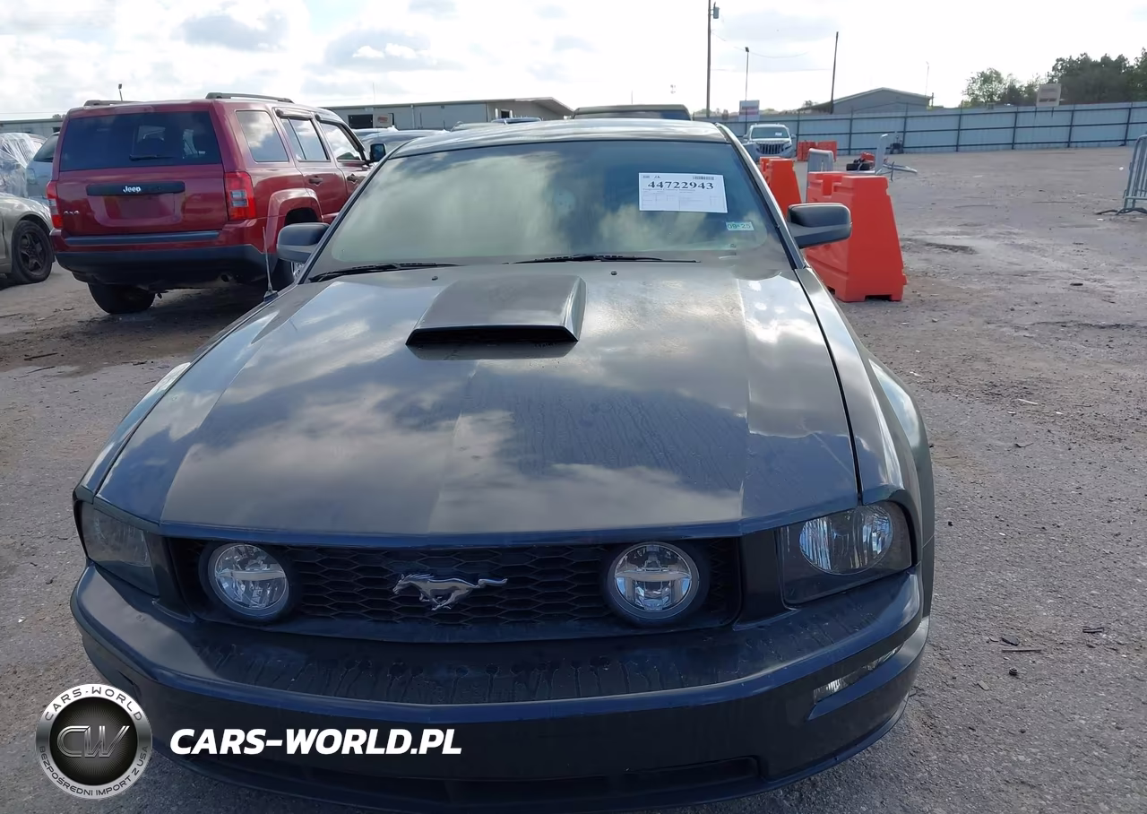 2007 Ford Mustang Gt Deluxe-Gt Premium VIN:1ZVFT82H575197244 - 12