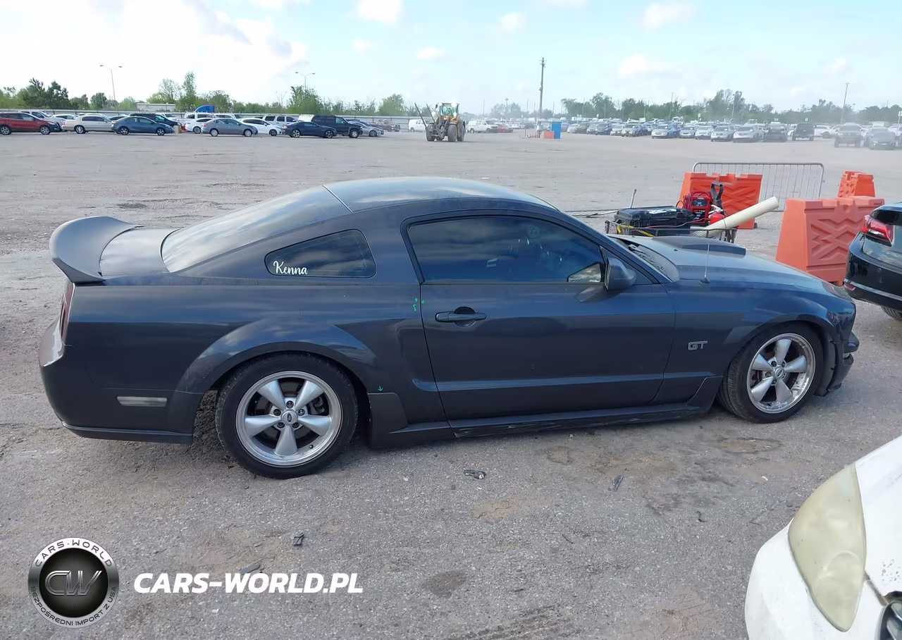2007 Ford Mustang Gt Deluxe-Gt Premium VIN:1ZVFT82H575197244 - 13