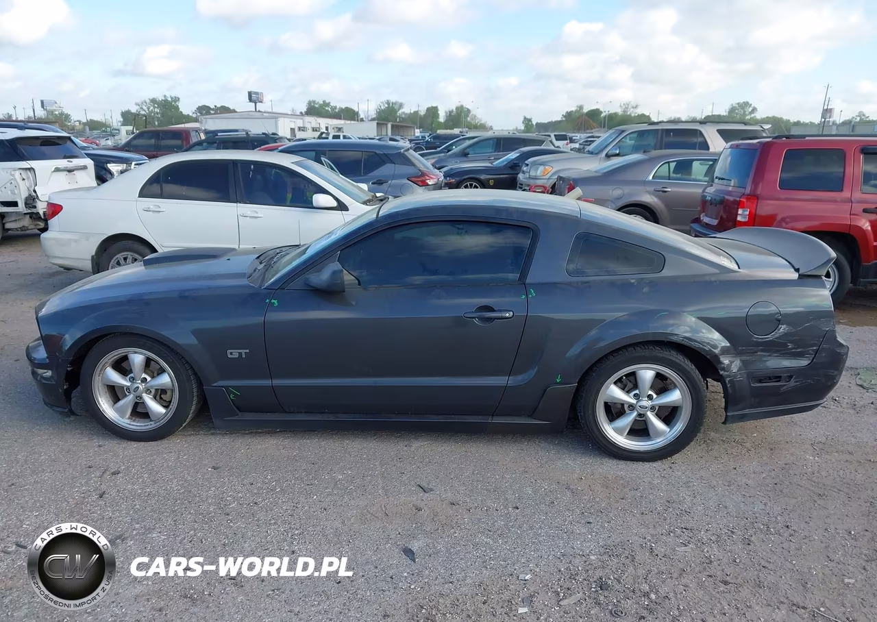 2007 Ford Mustang Gt Deluxe-Gt Premium VIN:1ZVFT82H575197244 - 14