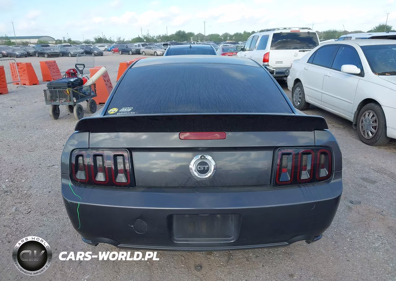 2007 Ford Mustang Gt Deluxe-Gt Premium VIN:1ZVFT82H575197244 - 16