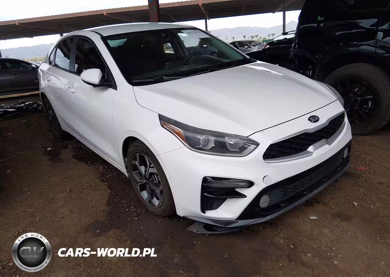 2019 Kia Forte Lxs