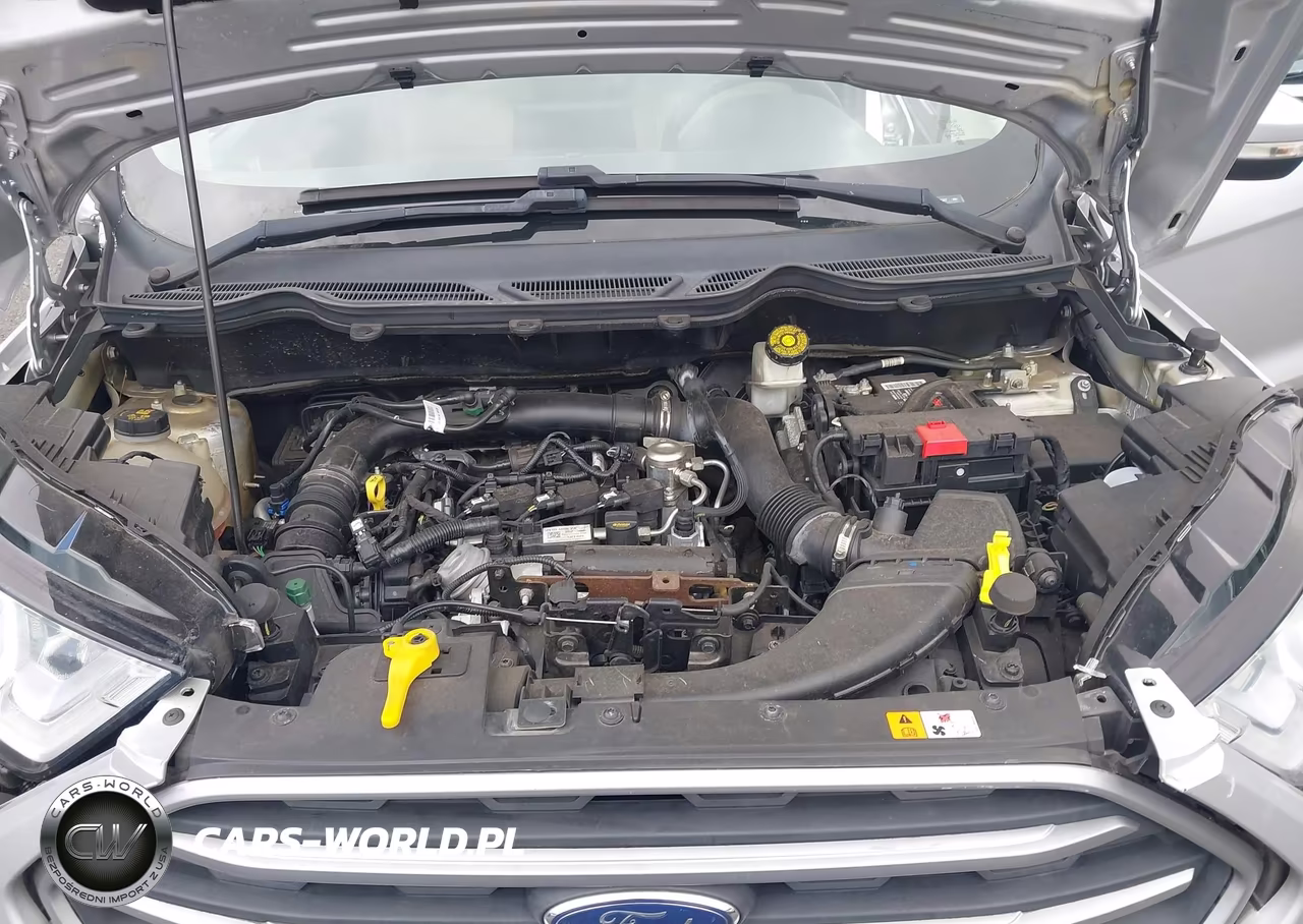 2021 Ford Ecosport Se VIN:MAJ3S2GE1MC444227 - 10