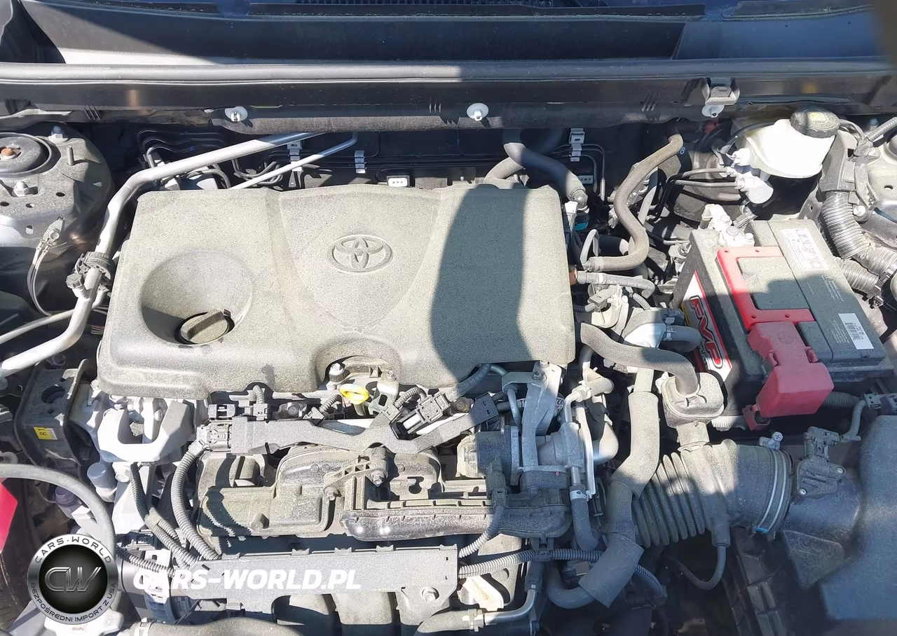 2019 Toyota Rav4 Xle VIN:JTMP1RFV1KD031658 - 10