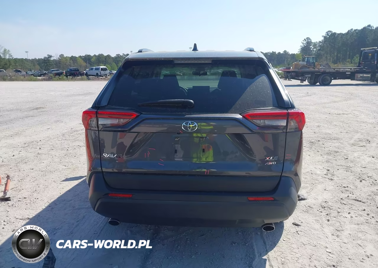 2019 Toyota Rav4 Xle VIN:JTMP1RFV1KD031658 - 17