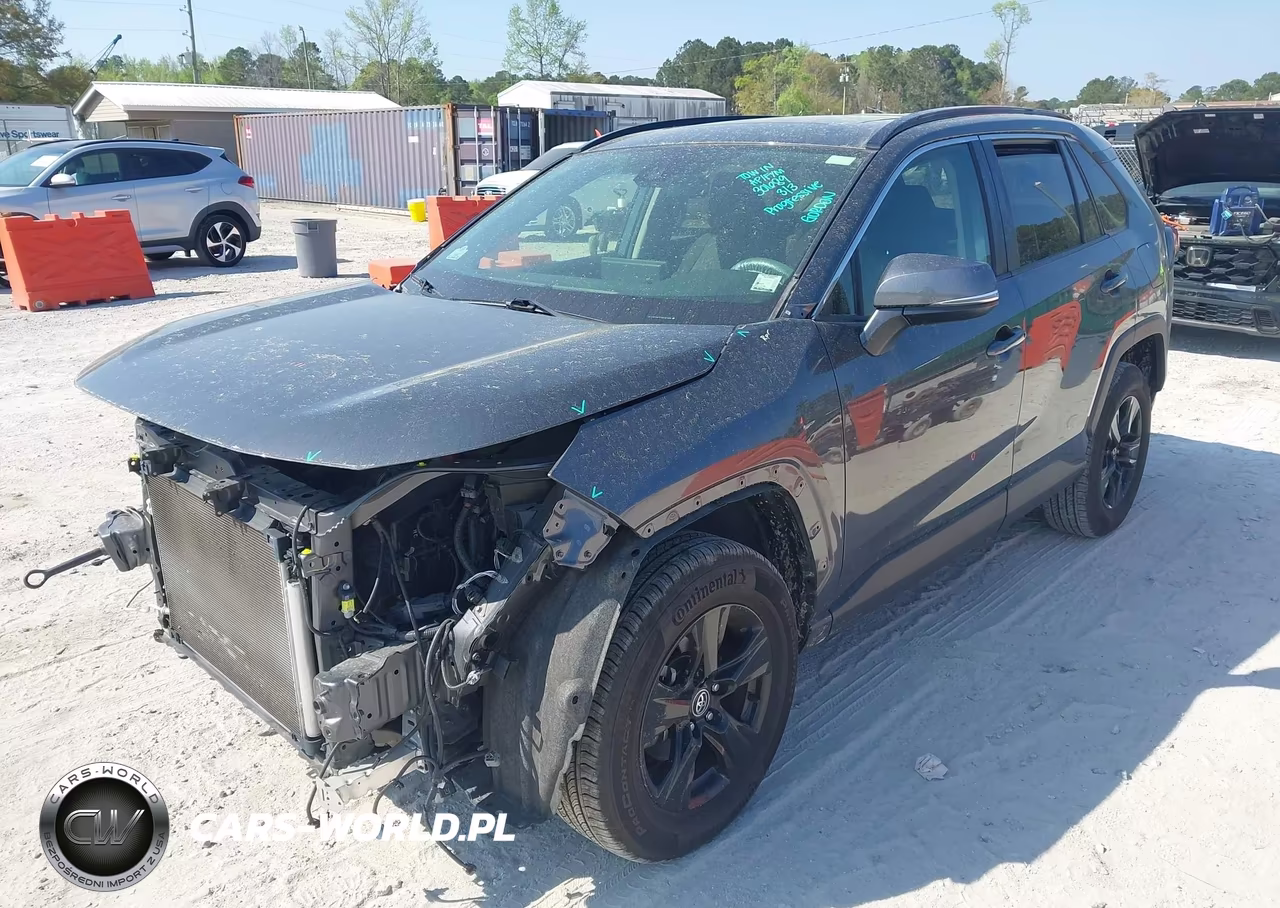 2019 Toyota Rav4 Xle VIN:JTMP1RFV1KD031658 - 2