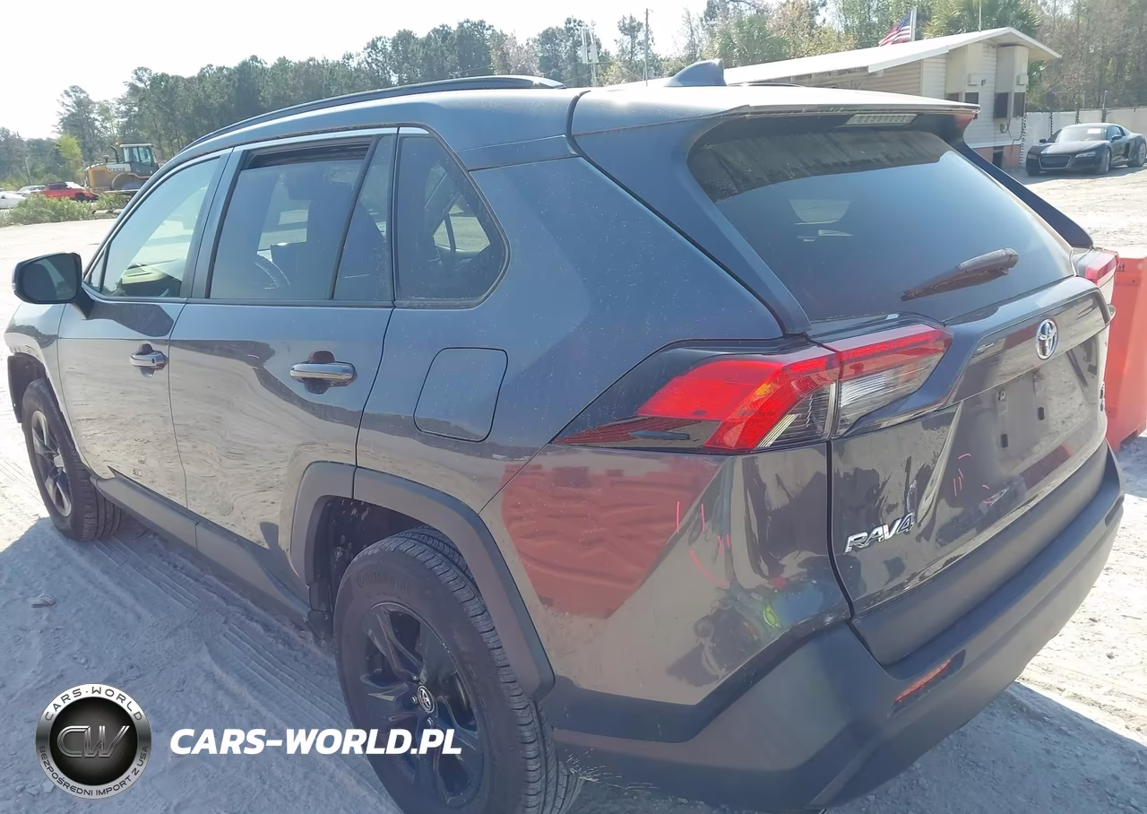 2019 Toyota Rav4 Xle VIN:JTMP1RFV1KD031658 - 3
