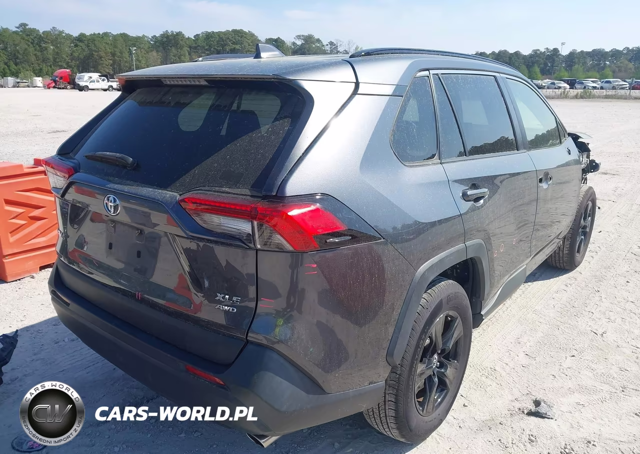 2019 Toyota Rav4 Xle VIN:JTMP1RFV1KD031658 - 4