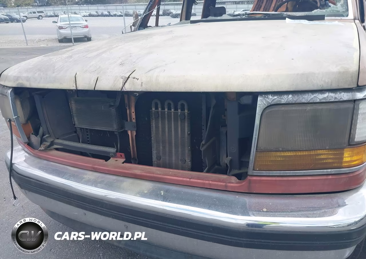 1994 Ford F250 VIN:1FTHX25G1RKB17216 - 10