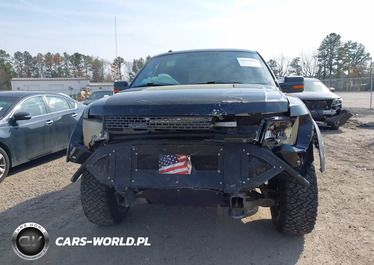 2011 Ford F-150 Svt Raptor VIN:1FTEX1R61BFC05843 - 12