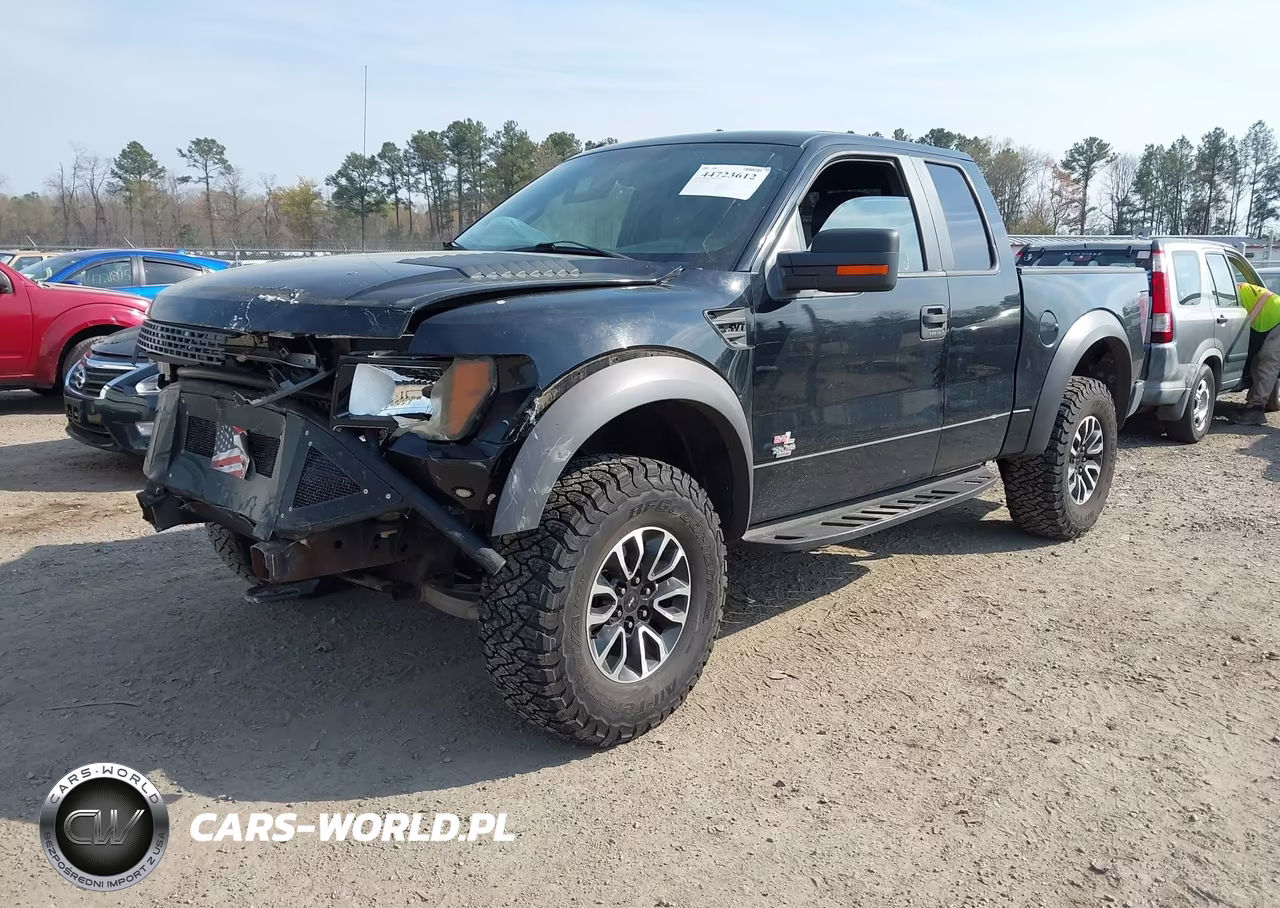 2011 Ford F-150 Svt Raptor VIN:1FTEX1R61BFC05843 - 2