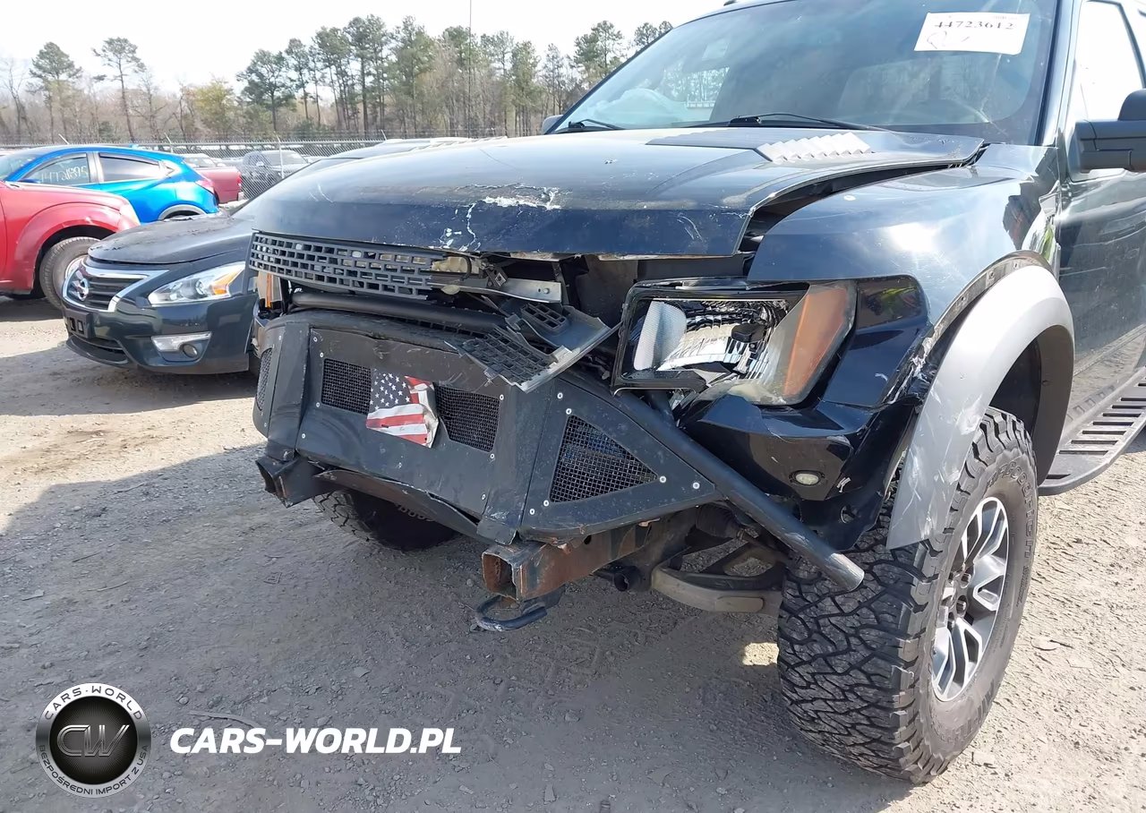 2011 Ford F-150 Svt Raptor VIN:1FTEX1R61BFC05843 - 6