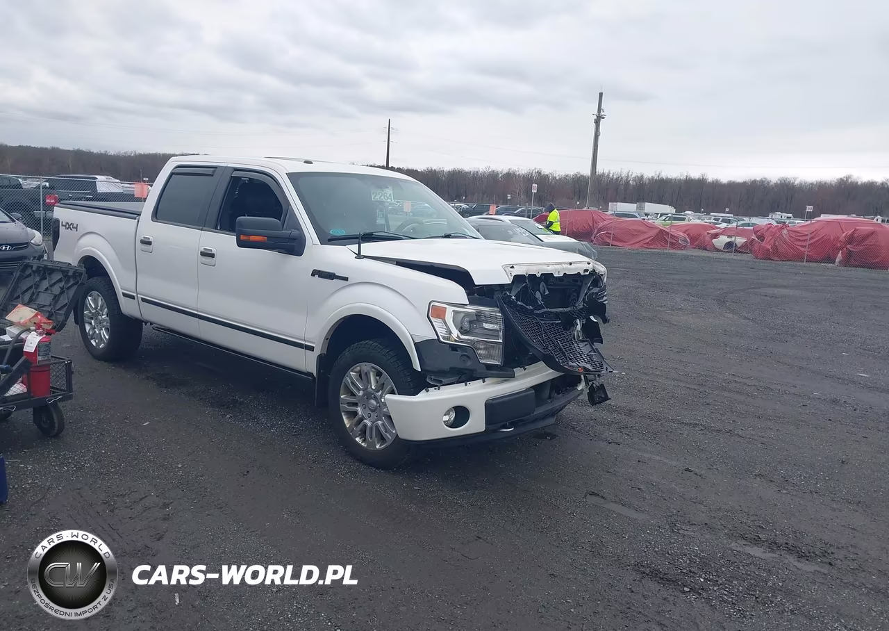 2013 Ford F-150 Platinum