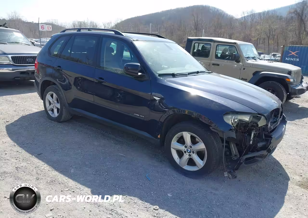 2010 BMW X5 xDrive30I