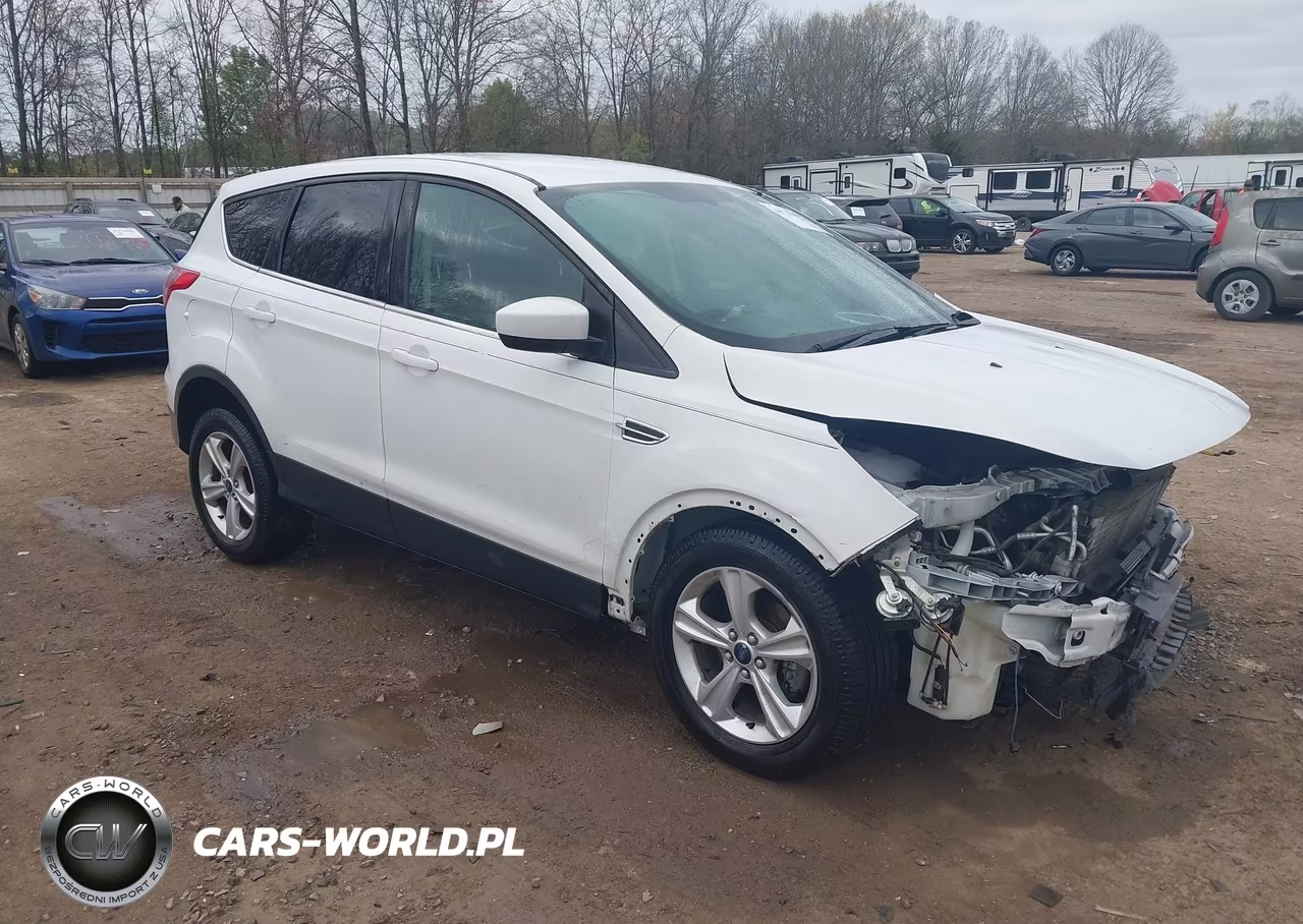 2014 Ford Escape Se