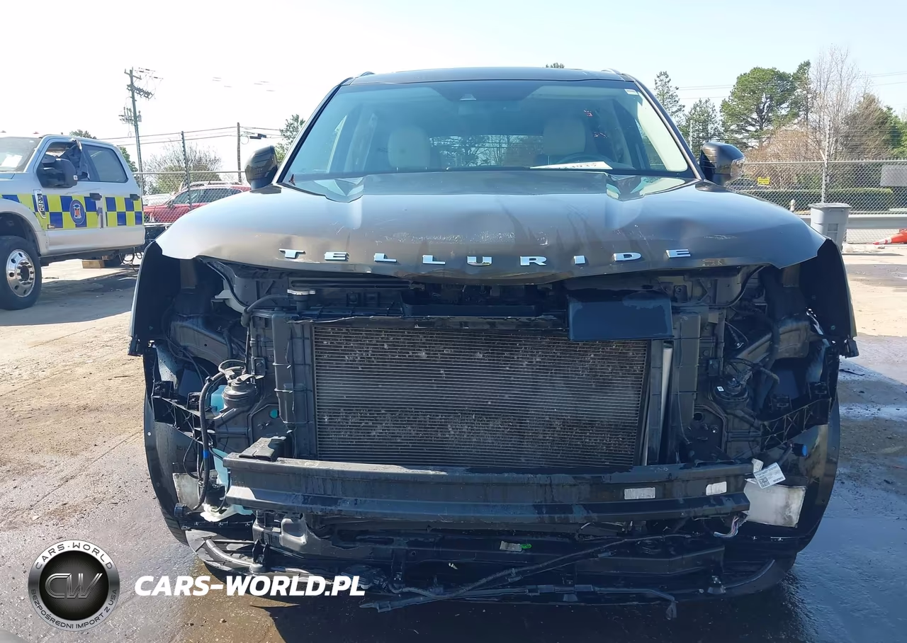 2020 Kia Telluride Ex VIN:5XYP34HC4LG012954 - 13